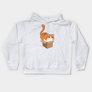 Orange cat in the box Kids Hoodie